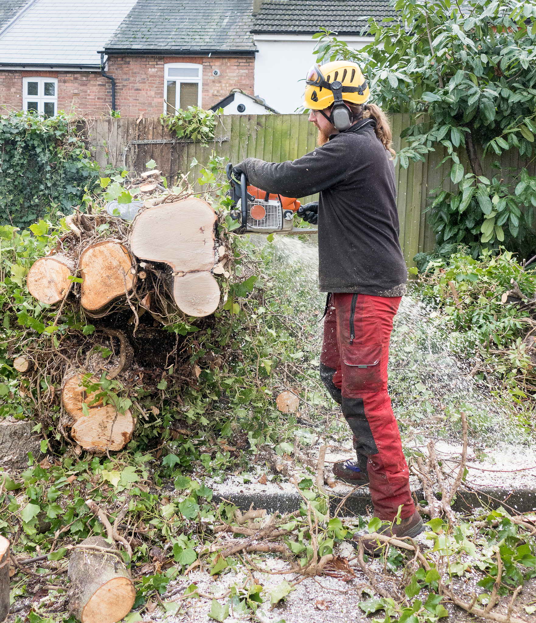 延安市宝塔区春季农田鼠害防治问题及对策