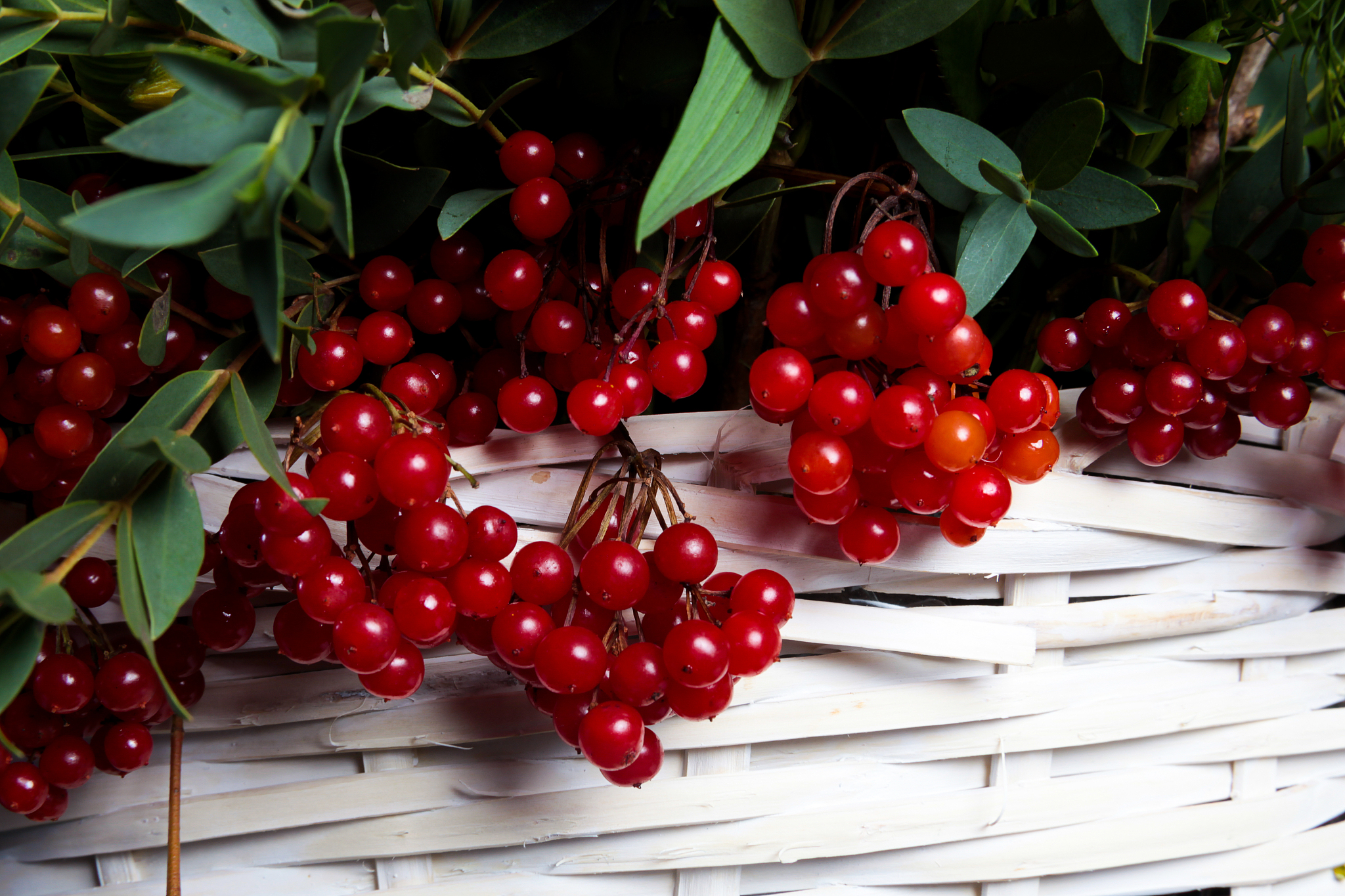 basket with viburnum