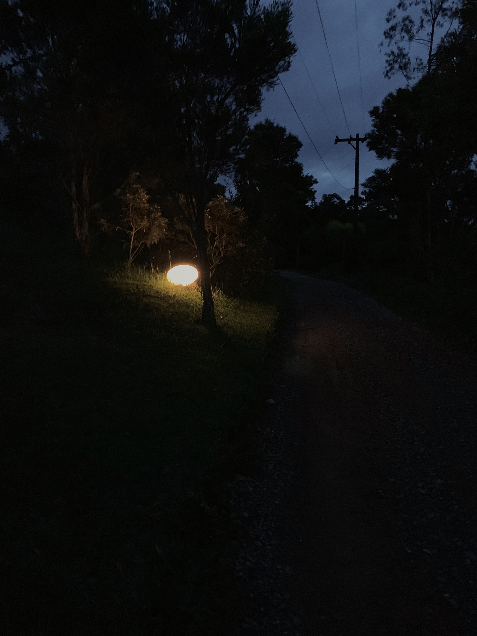 dark night