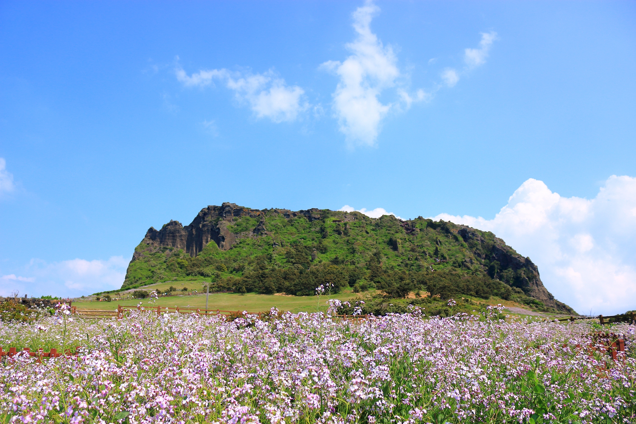 seongsan sunrise peak, unesco world heritage site, sunrise, sunr