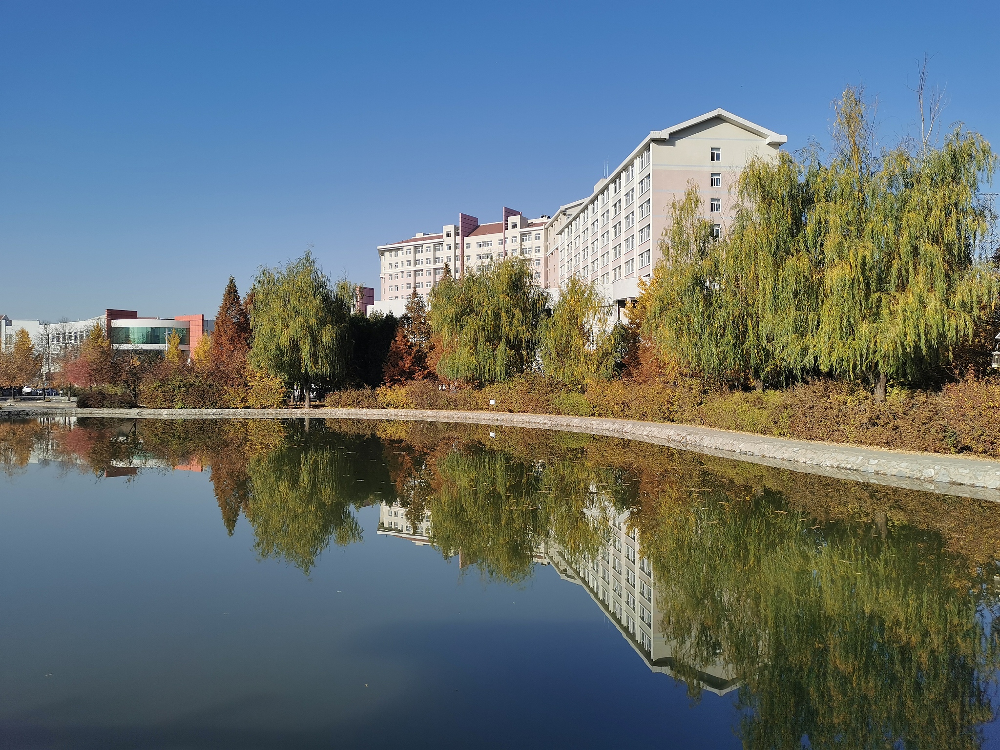 辽宁林业职业技术学院园林工程技术专业都学些什么