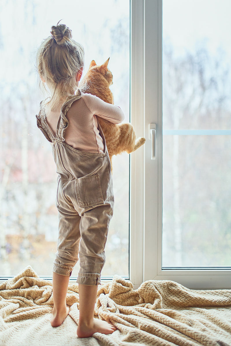 孩子和他的猫看着窗外.观察.隔离.认不出来