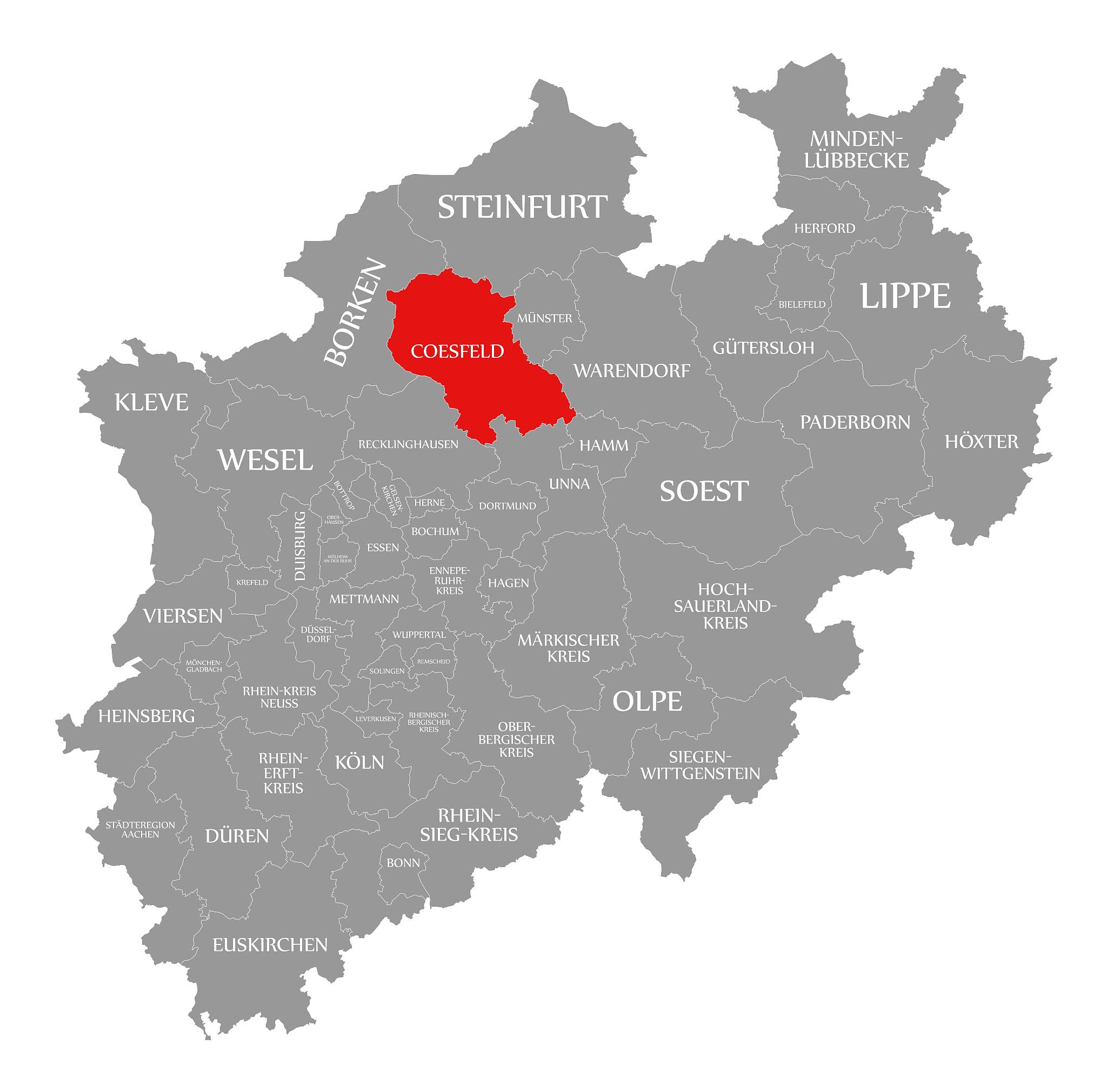 5除以负三分之五等于多少？详细解答