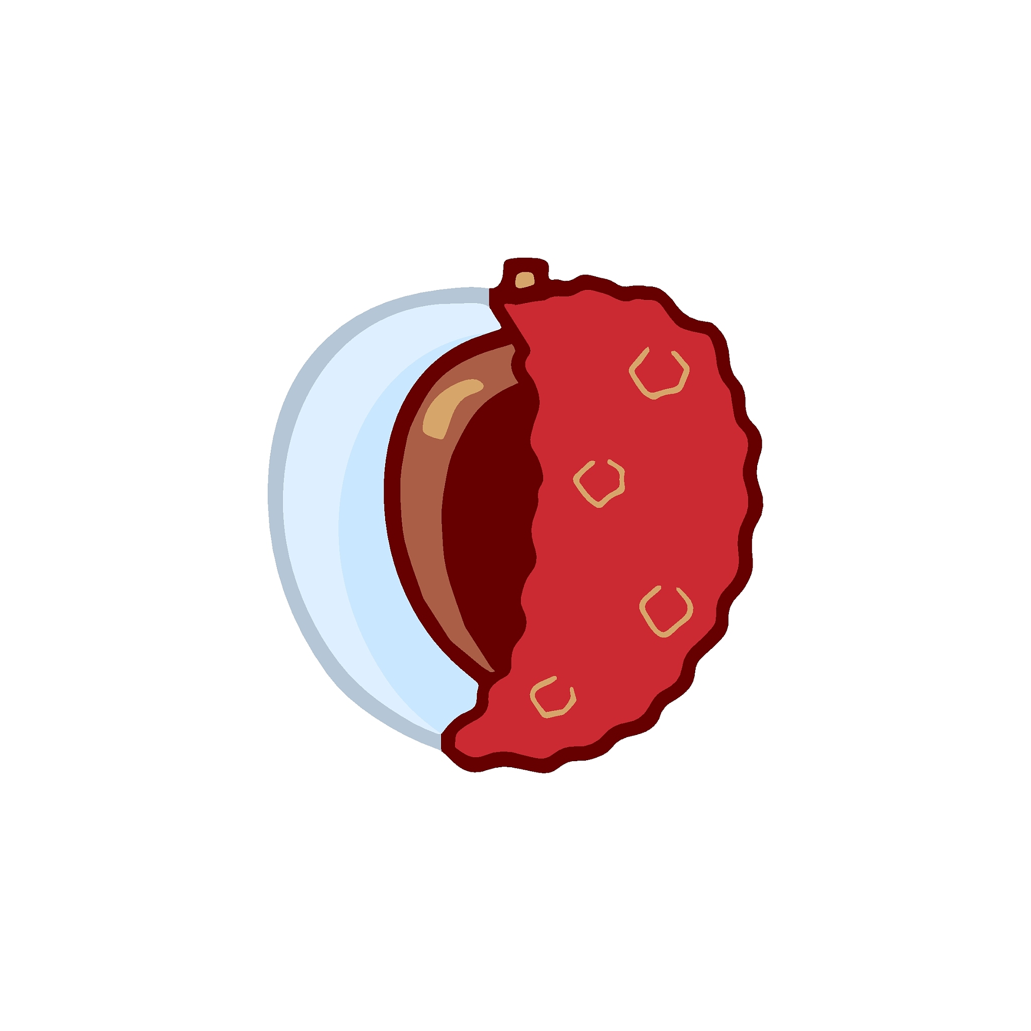 荔枝水果销售公司发展规划：市场调研、品牌建设、渠道拓展等全方位策略