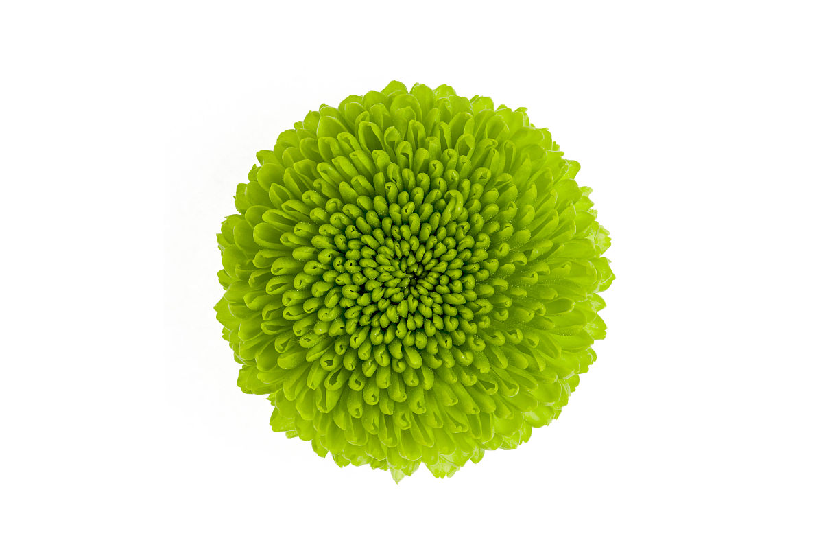 厦门南洋职业学院广告设计与制作专业怎么样