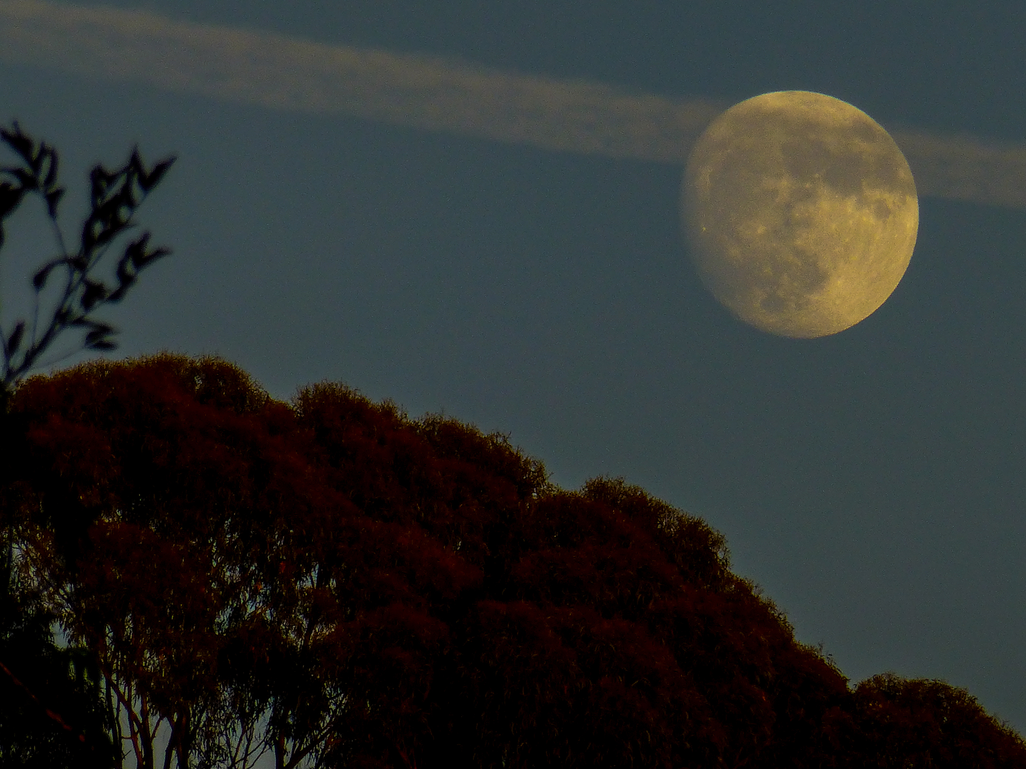 moon rise