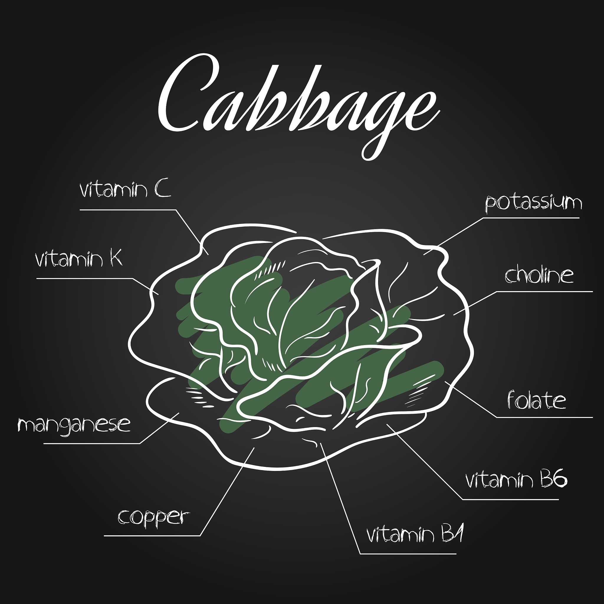 环境负荷物质管理程序：EHS体系二级文件编写指南