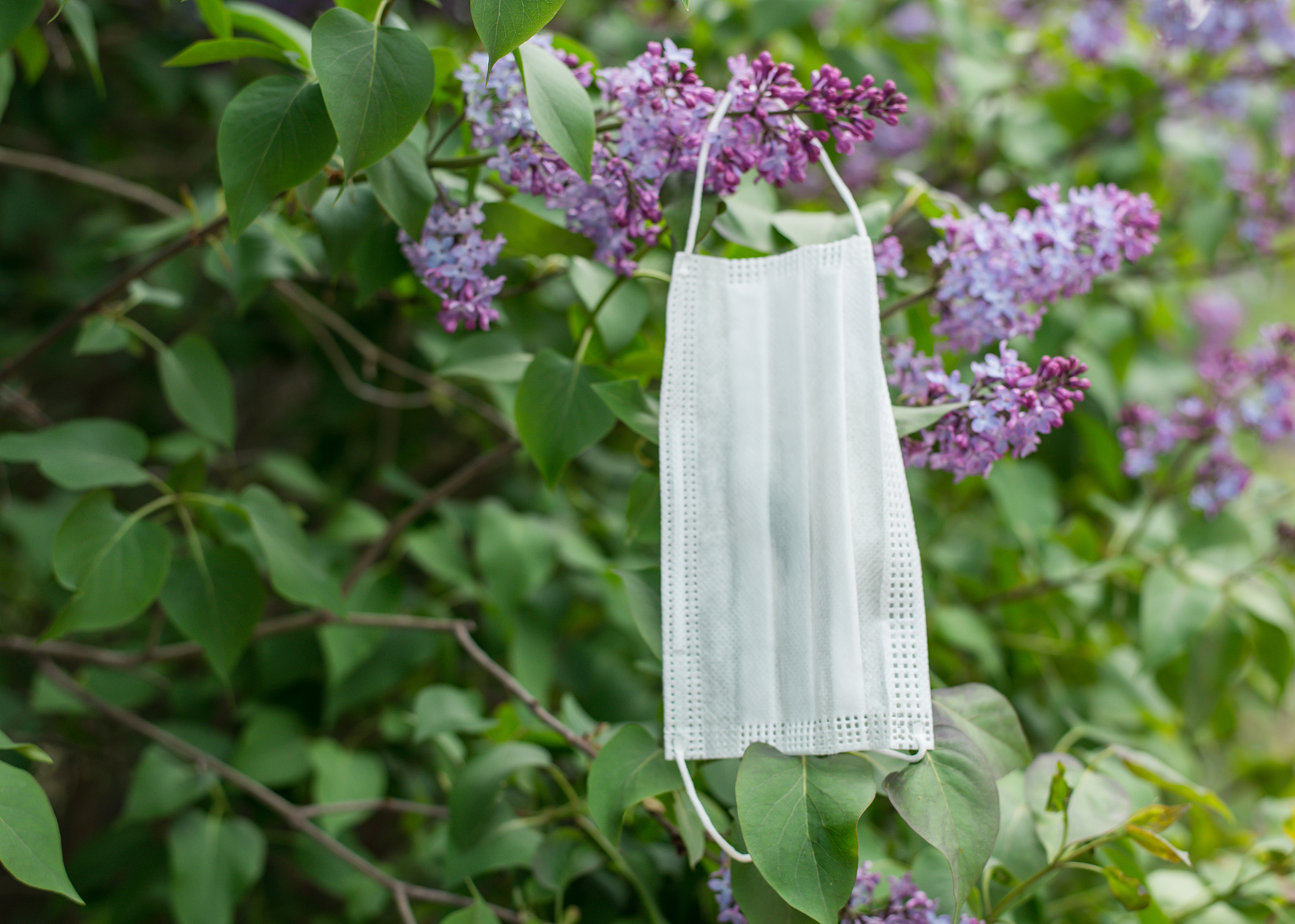 coronavirus and spring. protective medical mask hanging on a flo
