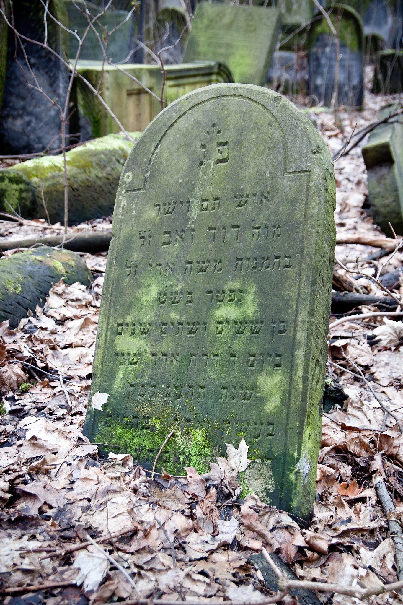 jewish cemetery 4