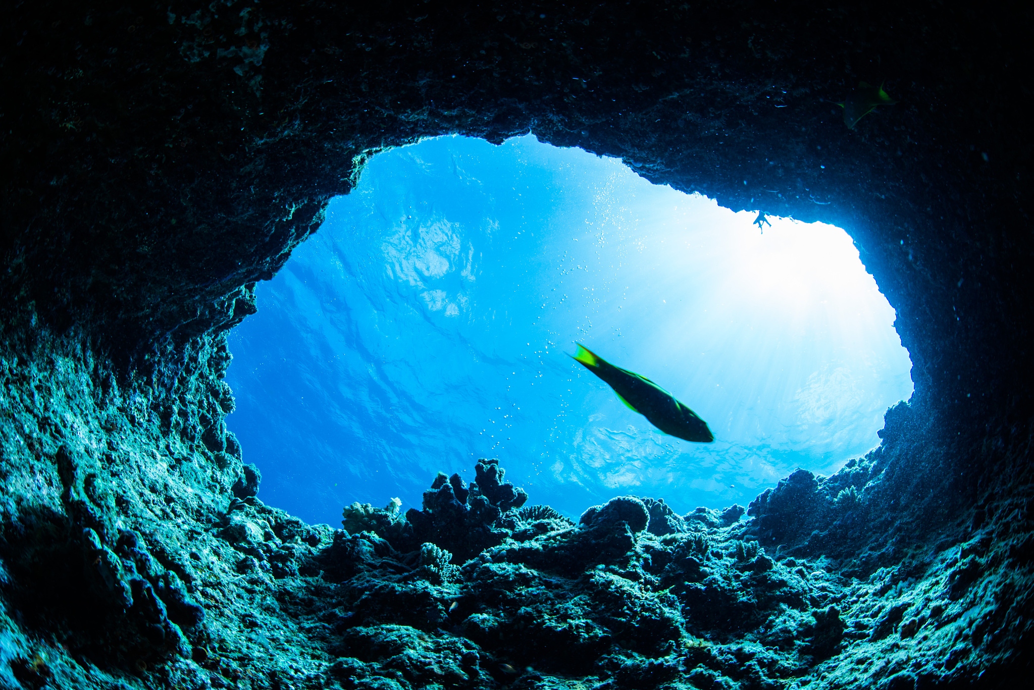 cave diving