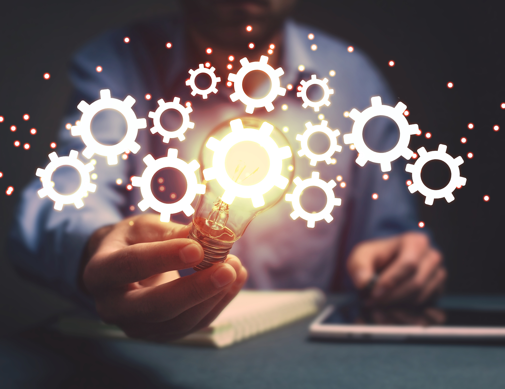 基于以下内容请写一篇不少于1500字的大学生理解：两个确立