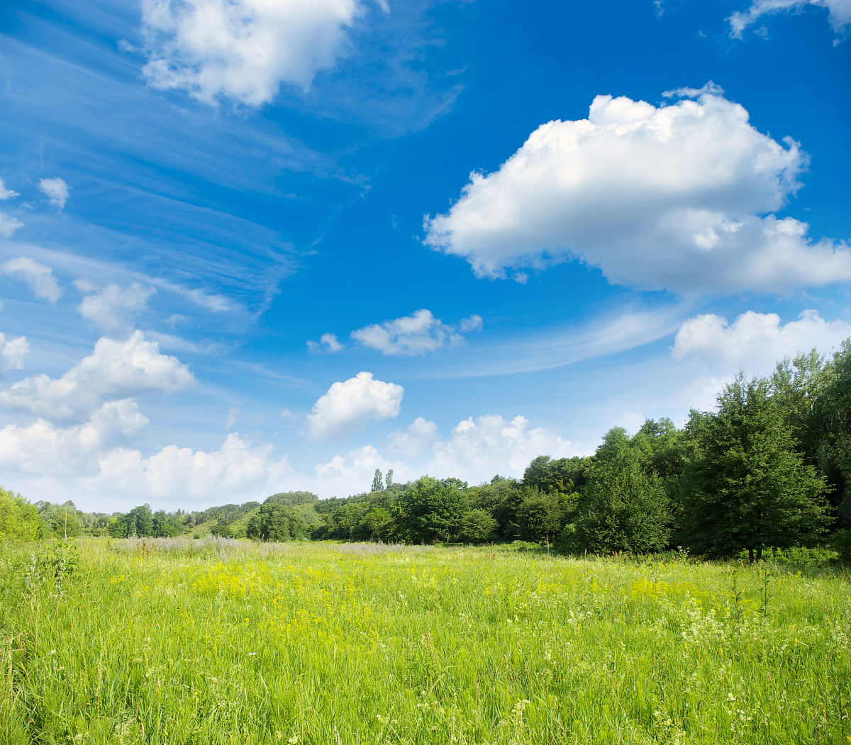 用150字描述一下晴朗的夏天天空是