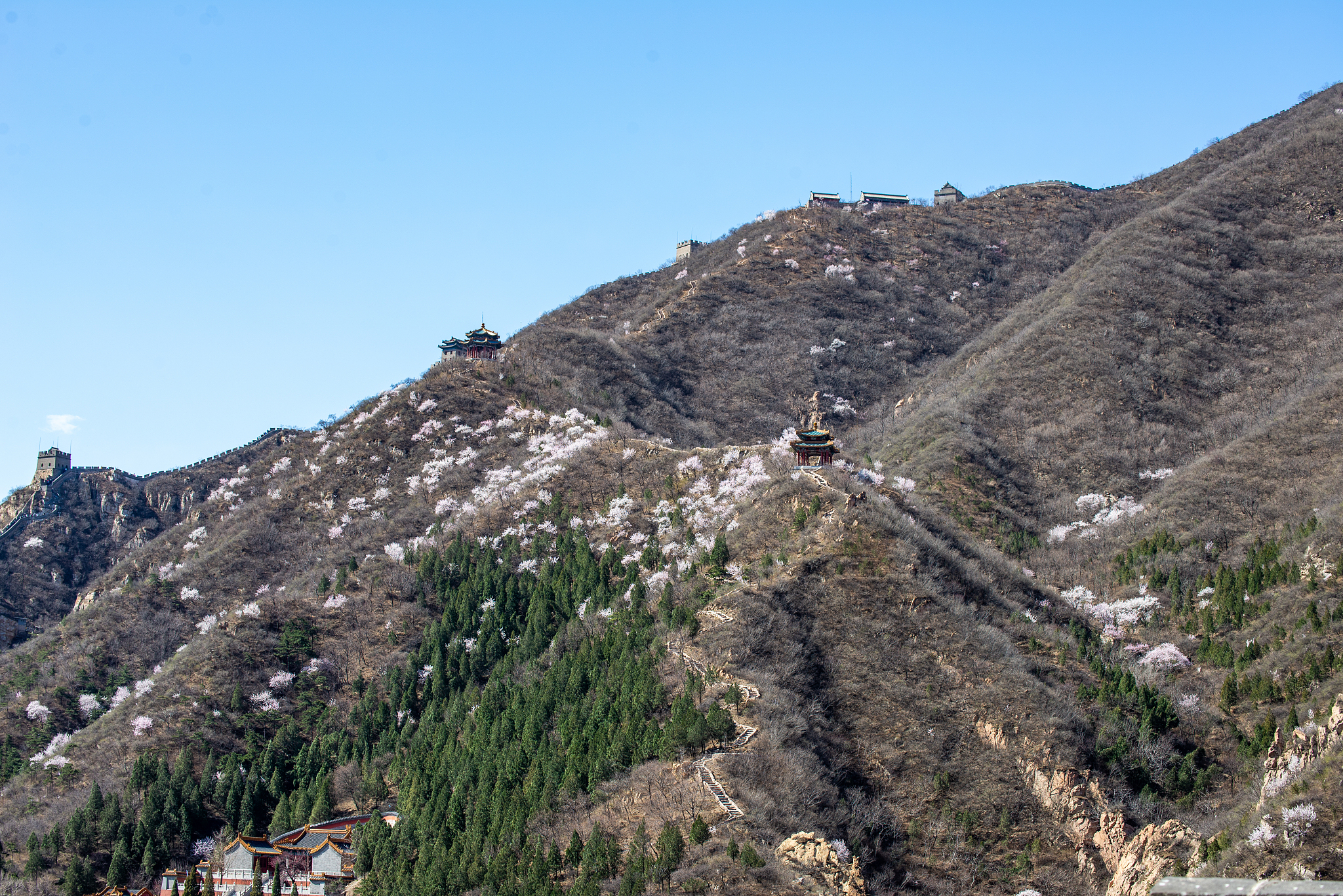 百望山之行：勇敢与坚持的感悟