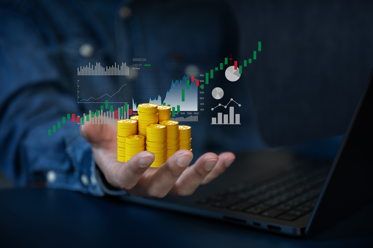 中国证券市场个体投资者投资决策指南：从信息获取到投后管理