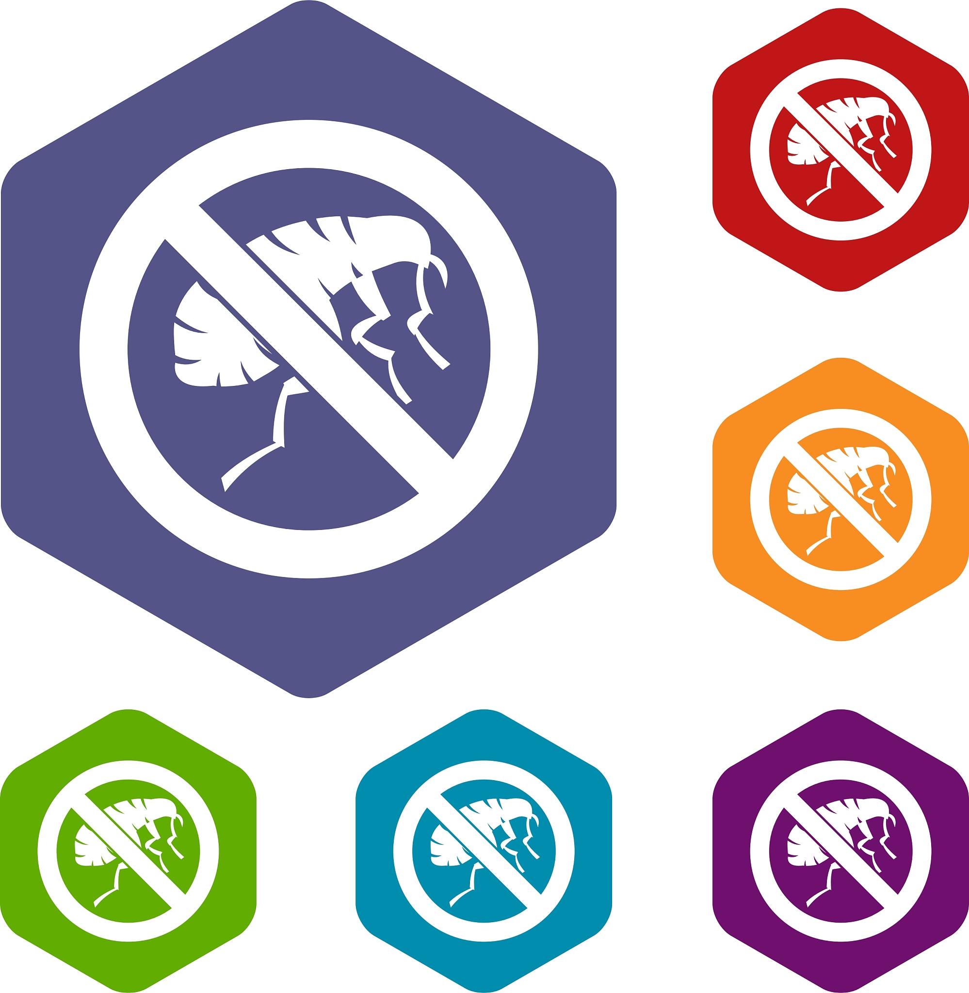 etching insect icons set