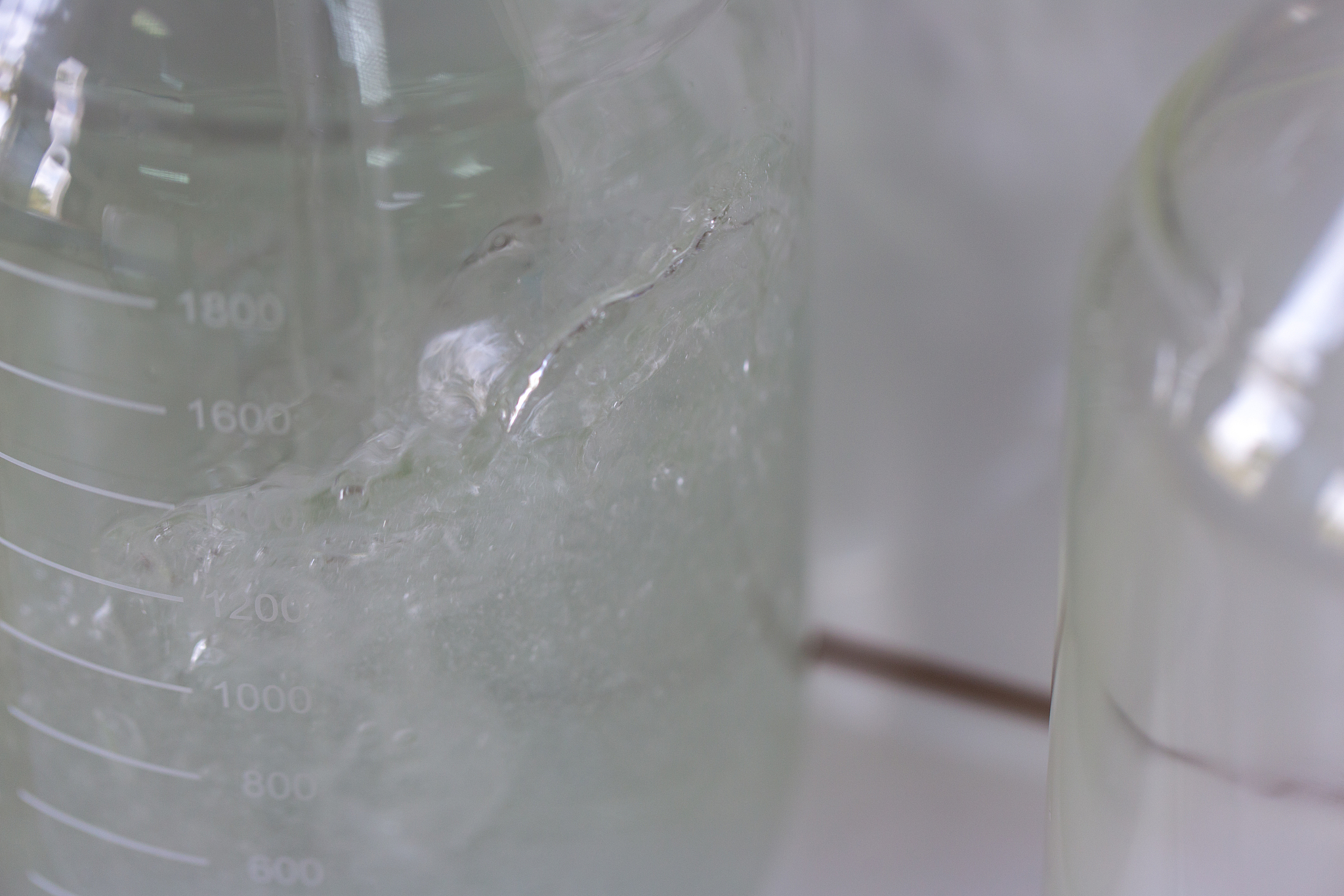 一个鸡蛋白的重量，