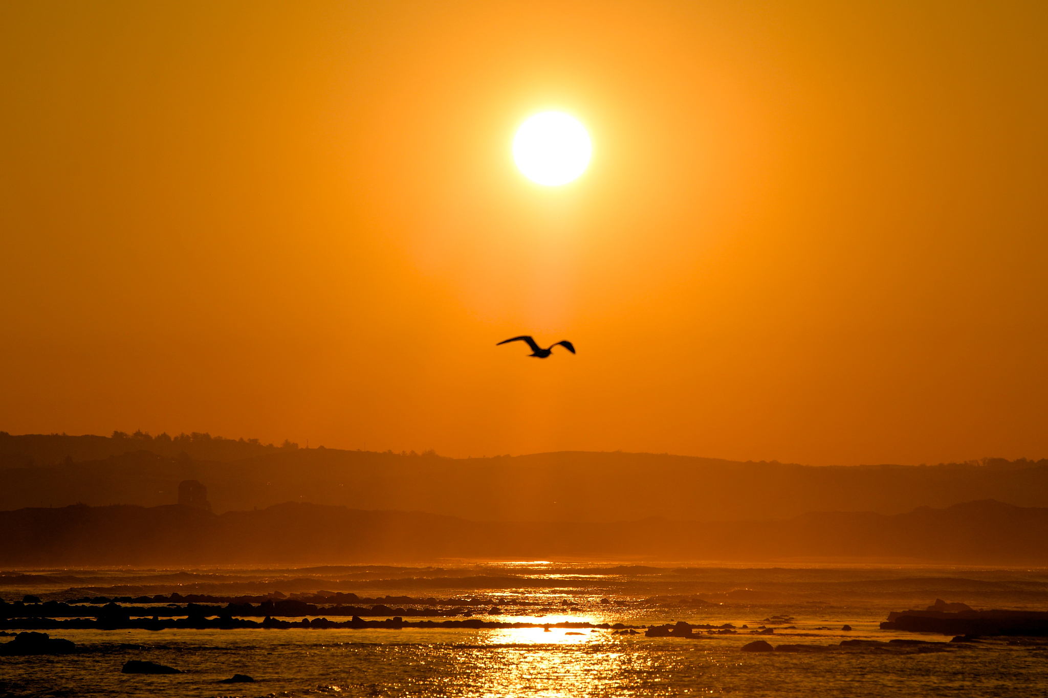 难忘的72小时 写一篇300字小学作文