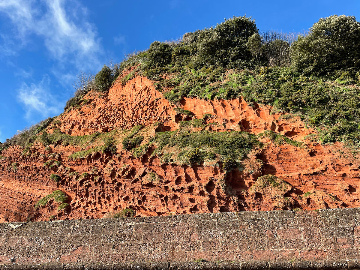 写一份小王子的读书笔记