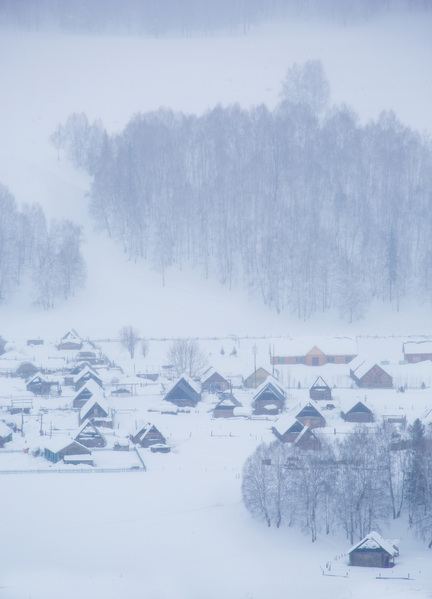 寒雪孤城绘画作品简介50字