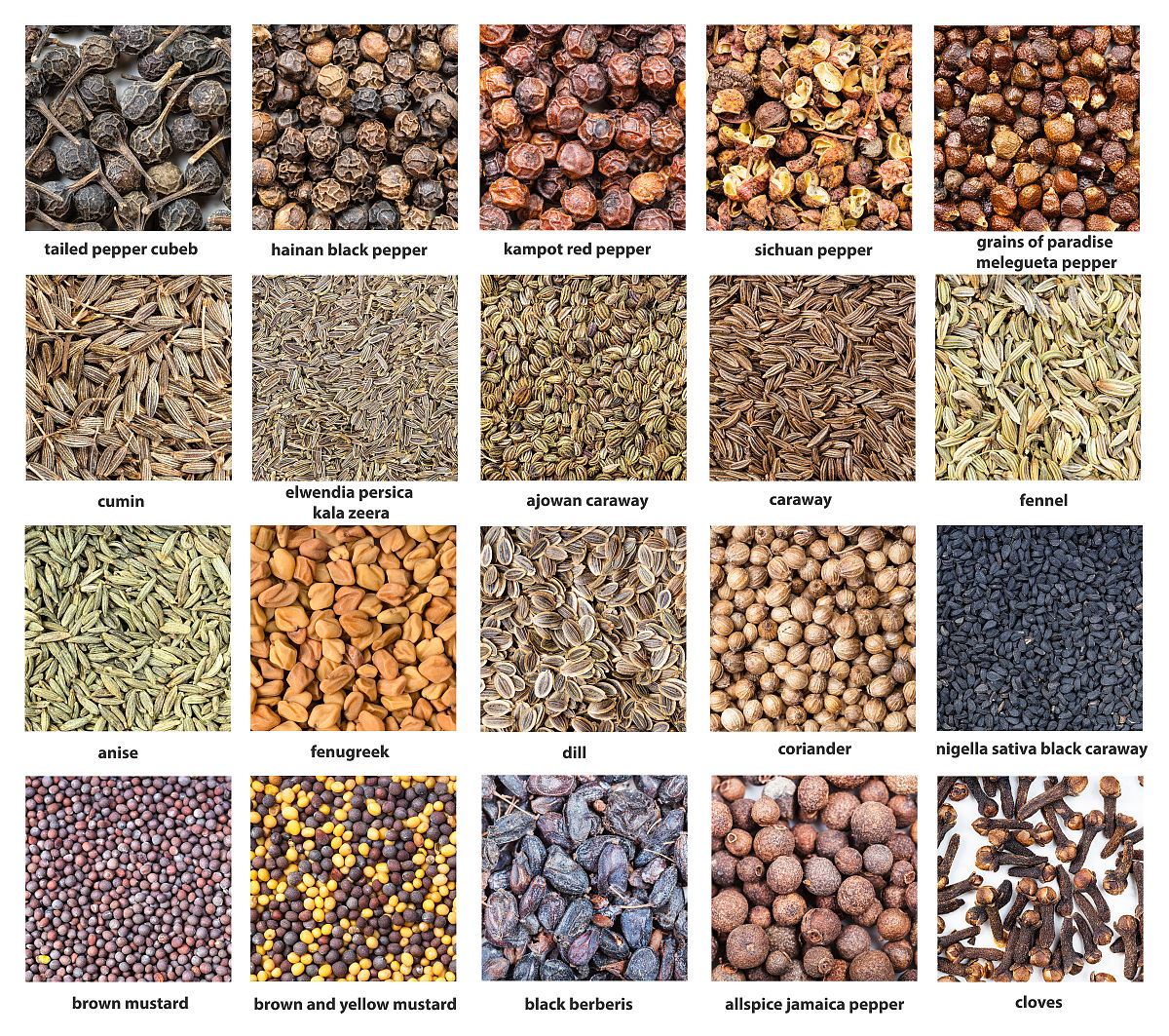 来点好听的西方女性名字中文译名