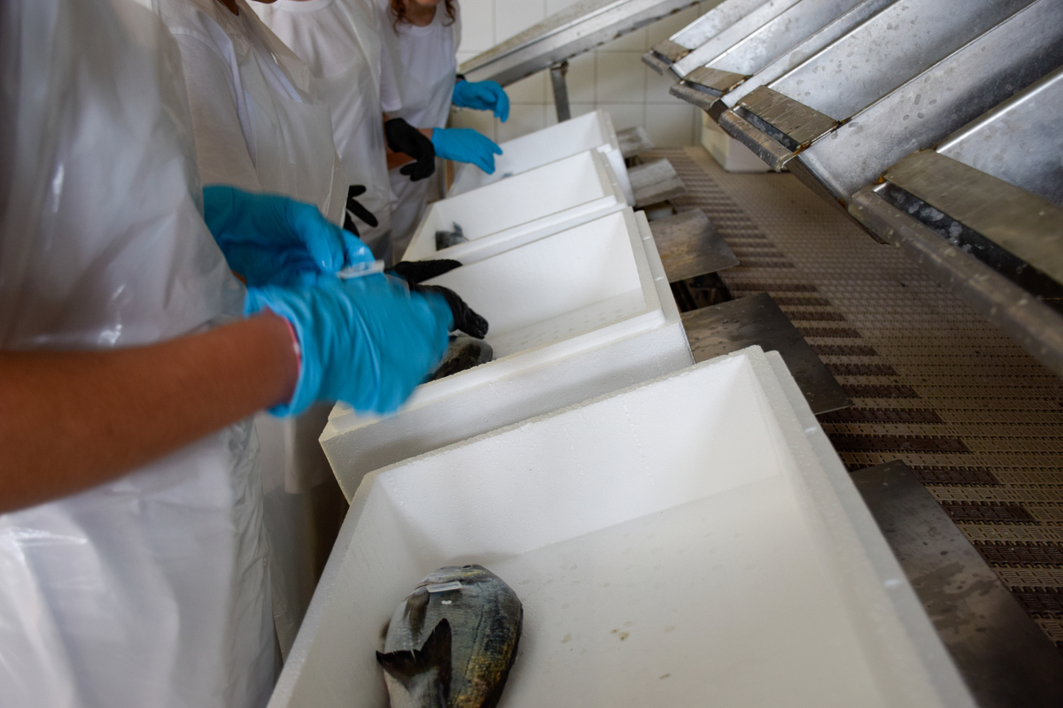 烟台水产职工学校2022年专业设置：水产养殖、加工、检测等