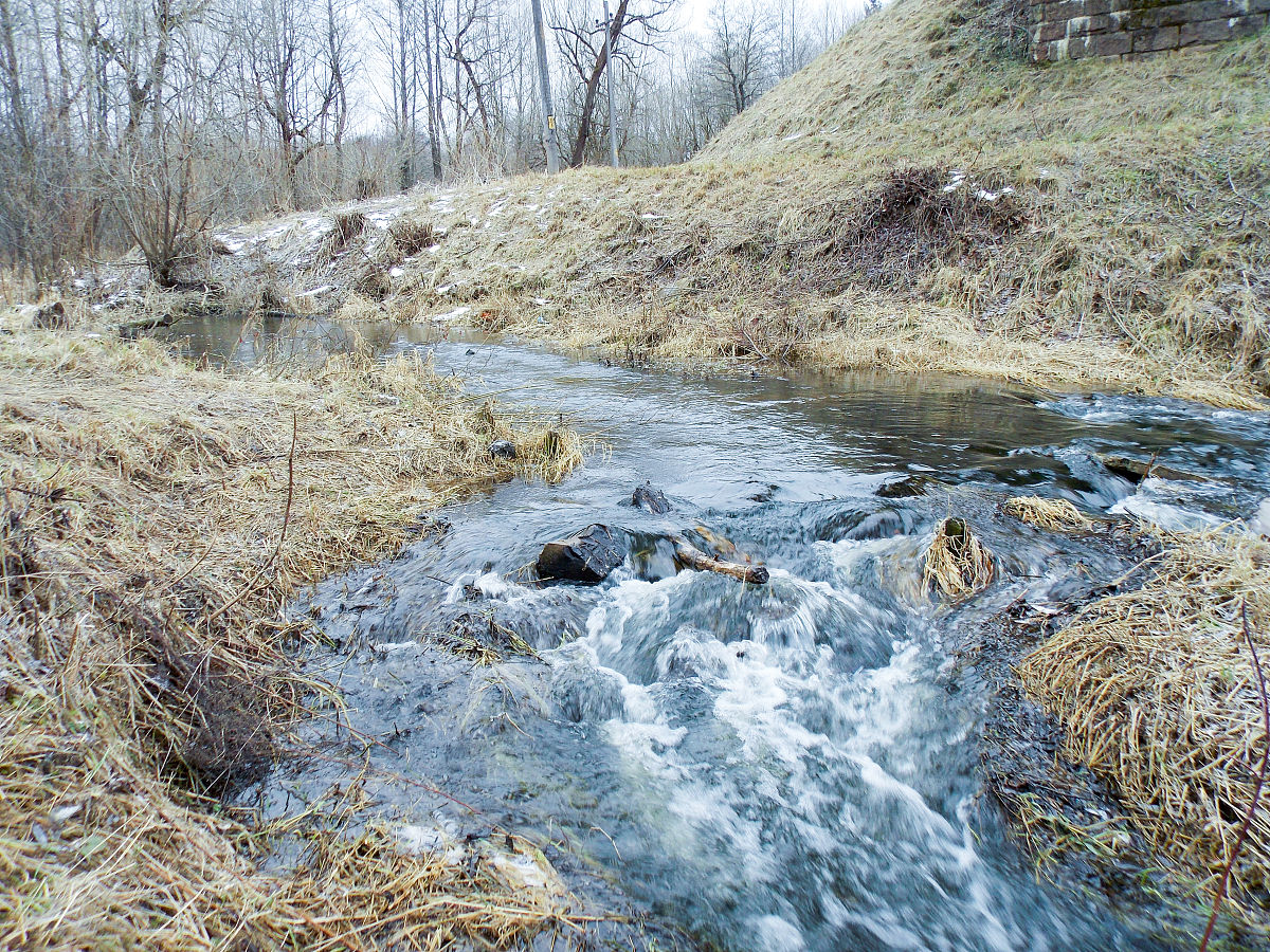河水里的功率有多大？回答加拓展