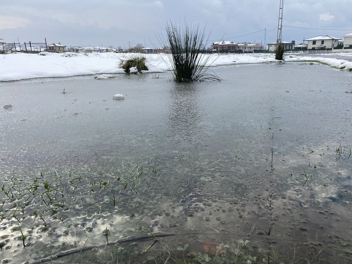 洱海流域畜禽养殖户调研感悟：环保与可持续发展