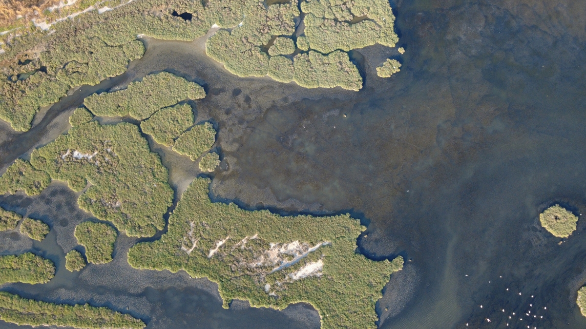 基于卫星数据的北极苔原火灾对土壤的影响研究