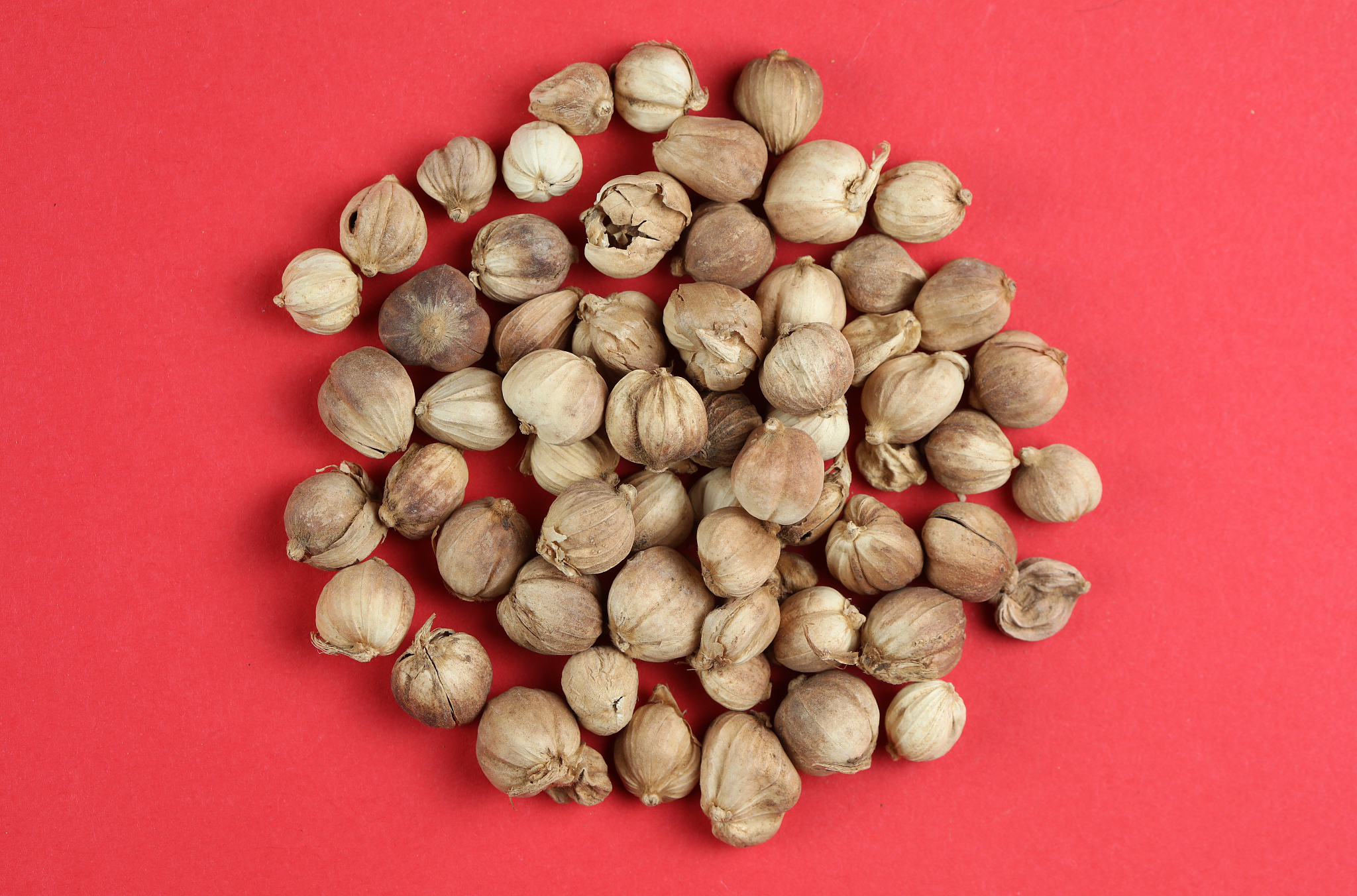 半夏为天南星科植物半夏Pinellia ternataThunb Breit的干燥块茎别名麻芋果、三步跳、麻芋子等。广泛分布于中国长江流域以及东北、华北等地区生长于海拔2500米以下。其性辛、温；有毒。归脾、胃、肺经。具有燥湿化痰降逆止呕消痞散结的功效可用于湿痰寒痰咳喘痰多痰饮眩悸风痰眩晕痰厥头痛呕吐反胃胸脘痞闷梅核气；外治痈肿痰核。半夏是中国人民常用的一味大宗中药材在中药处方中使用频率居较高位置