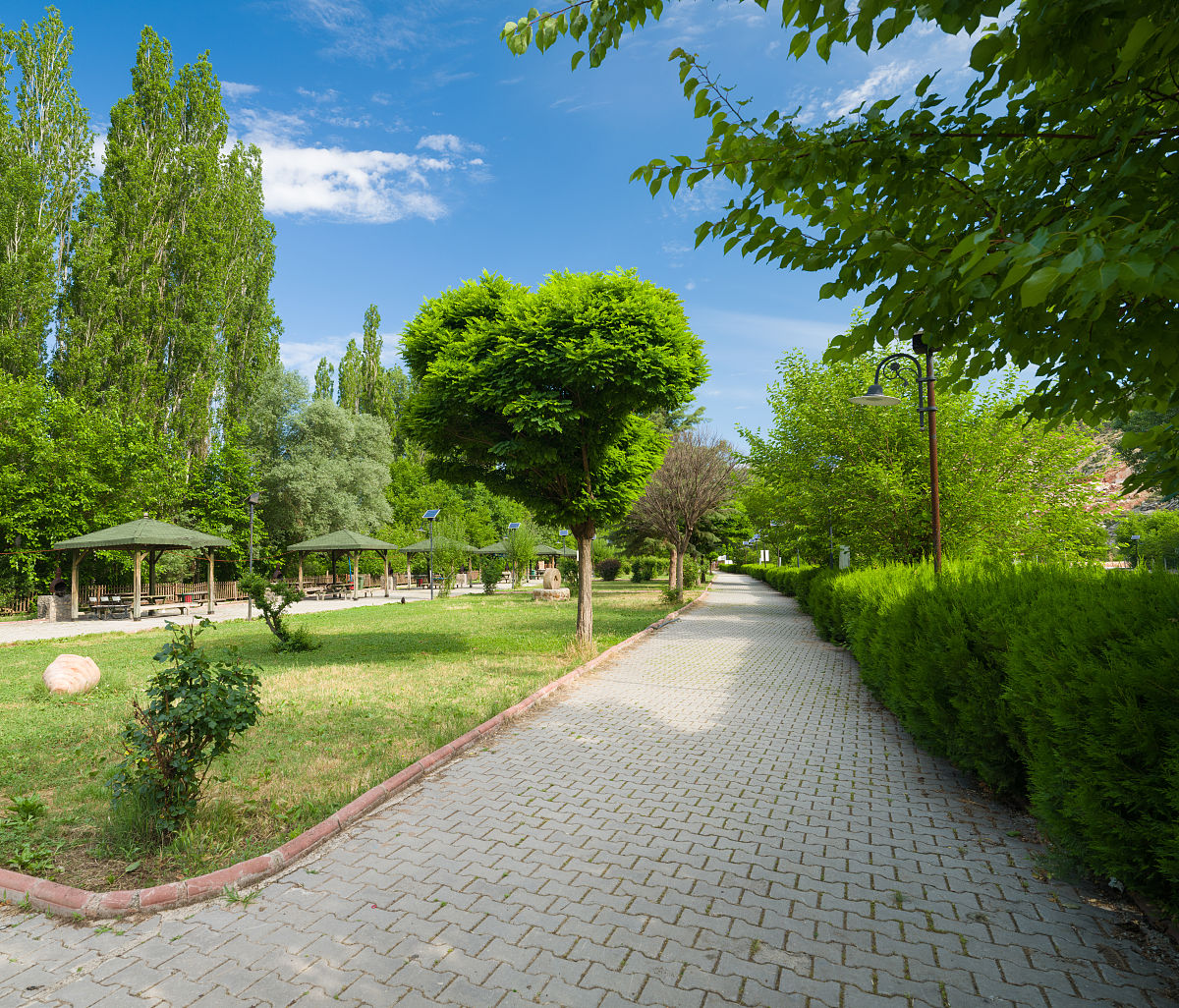 夏季清晨上班路上的美好环境描写 - 500字