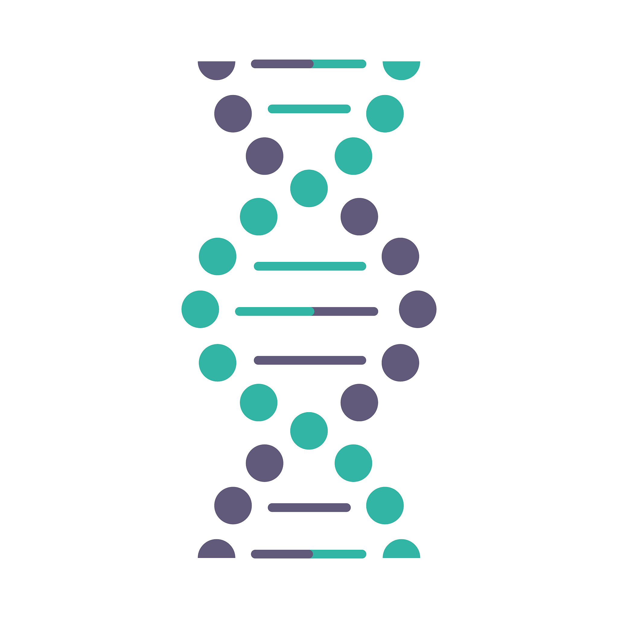 核小体组成：DNA、RNA和蛋白质的协同作用