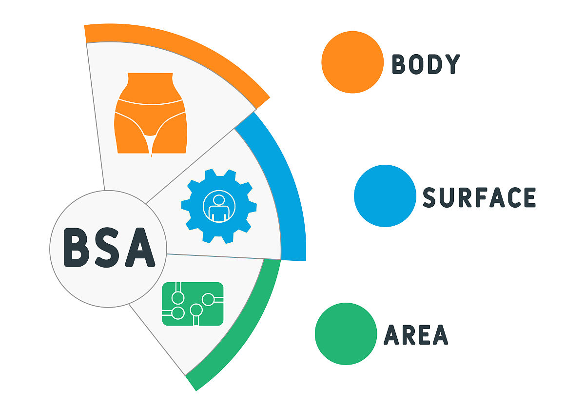 比较两个物体面积大小的方法有什么和什么