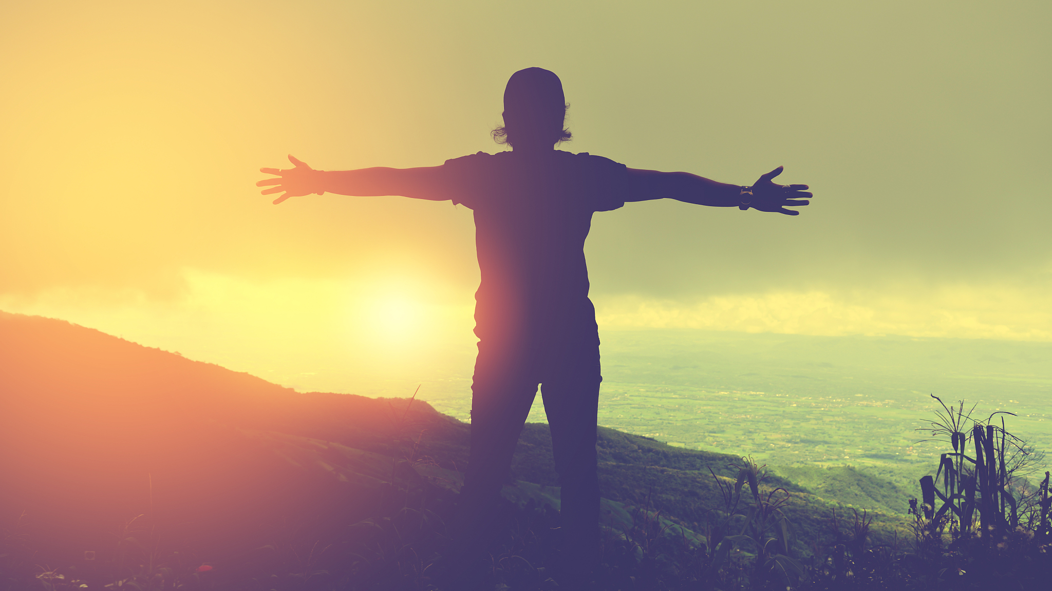 命运之手 | 探索命运的奥秘