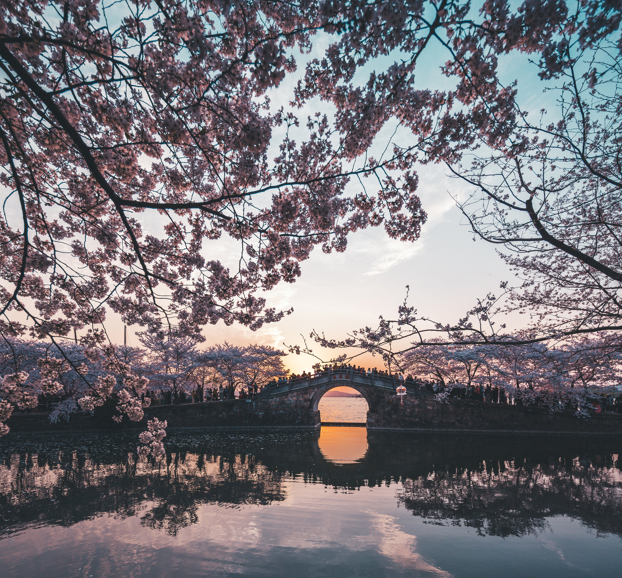 苏州市太湖旅游中等专业学校2022年招生简章 - 报名时间及录取方式