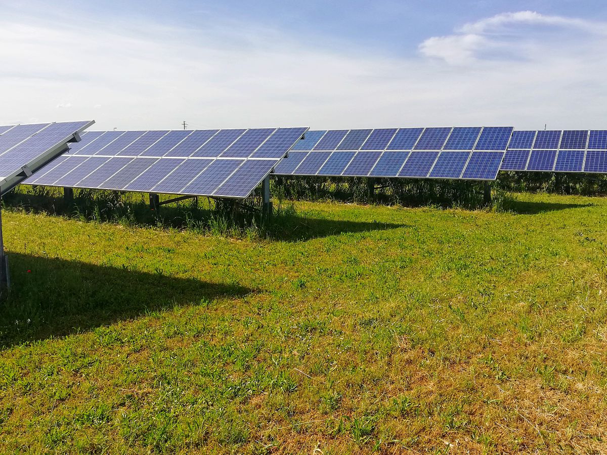新疆棉花与太阳能的结合: 探索可持续发展之路