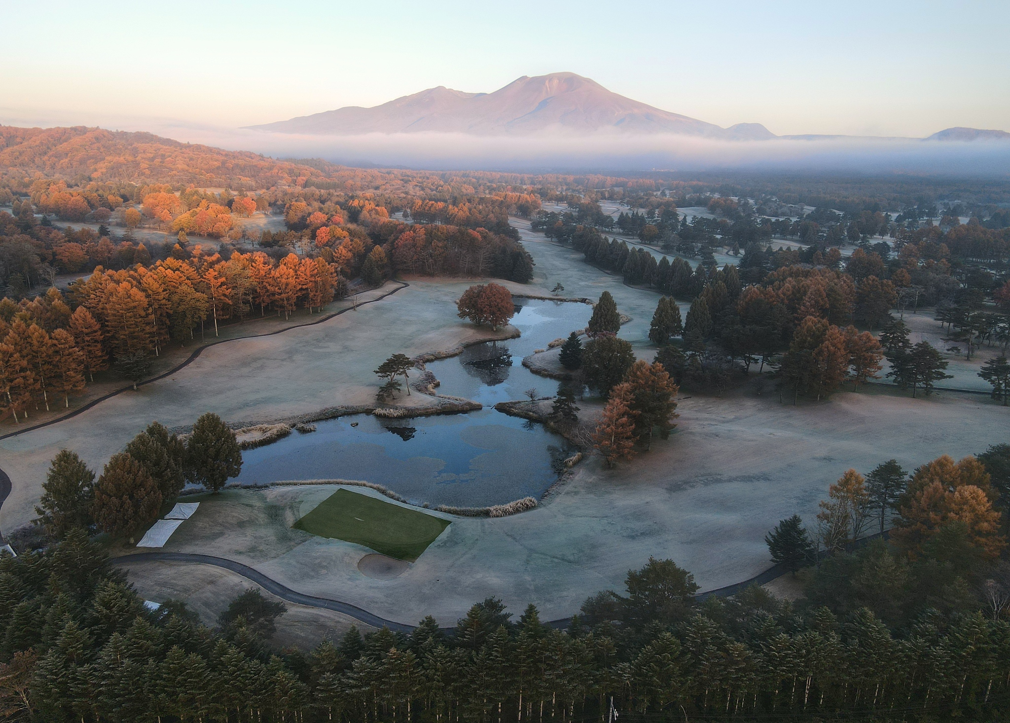 東京ズーネットワークにおける動物園経営管理の課題と持続可能性：地域特性を活かした取り組みの重要性