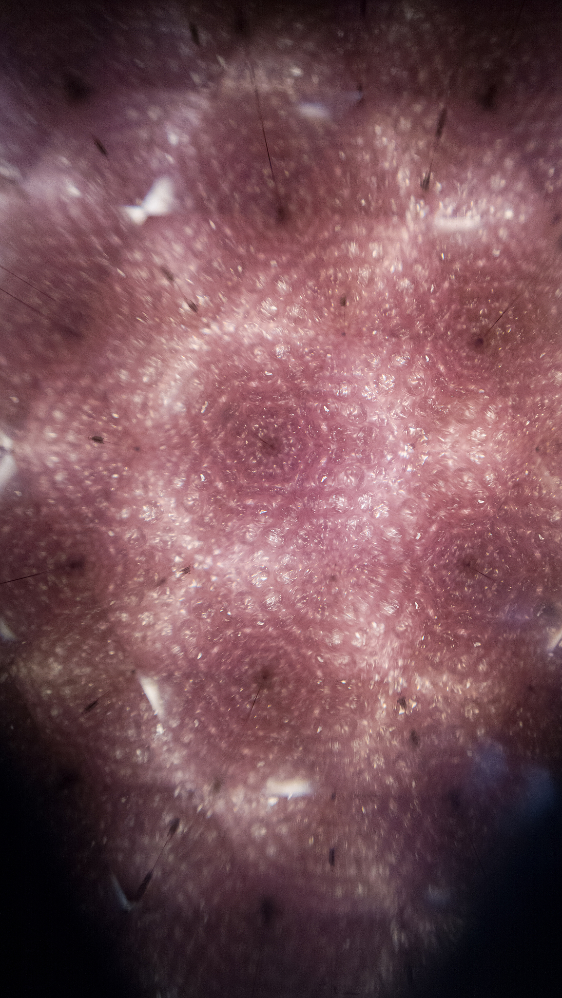 pink geometric pattern 2