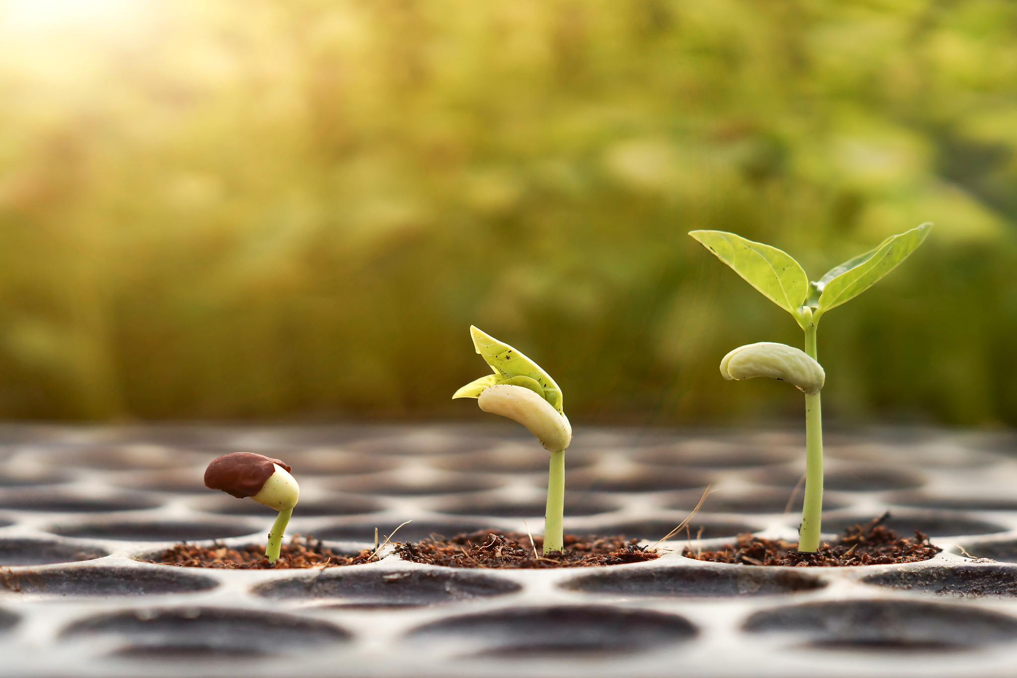 如何删除桌面快捷方式