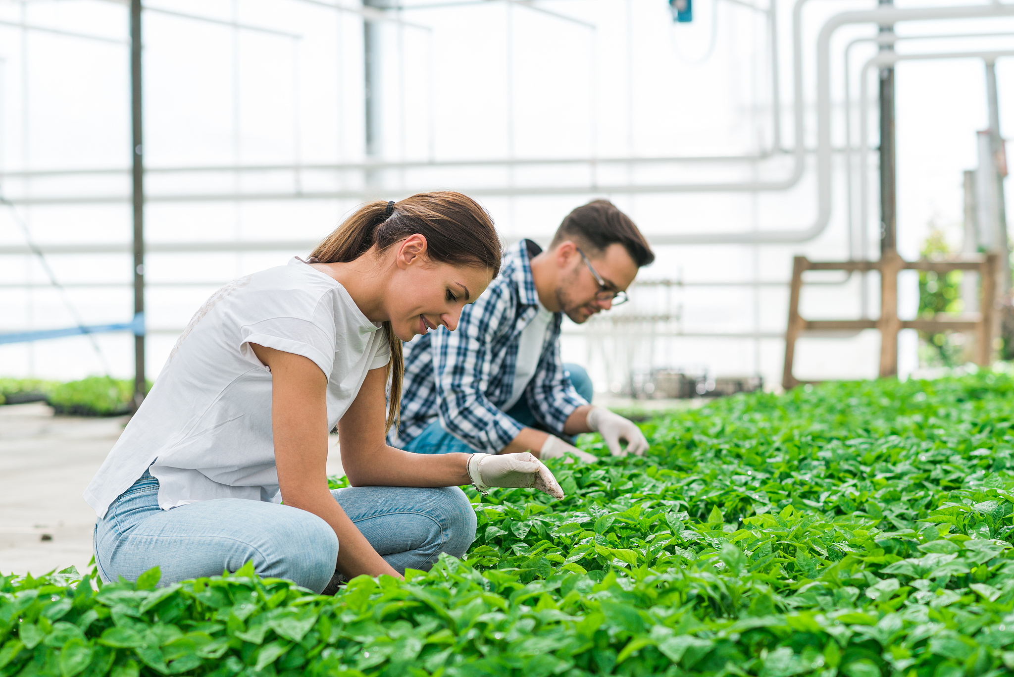 湖北现代农业技师学院2021年招生简章