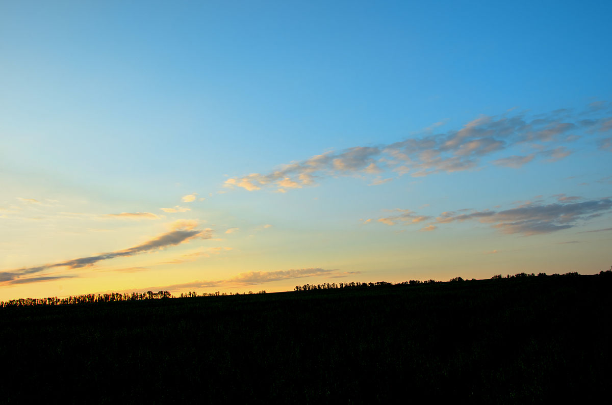 暗影格斗2 最新更新: 全新角色、地图、装备等你来体验！