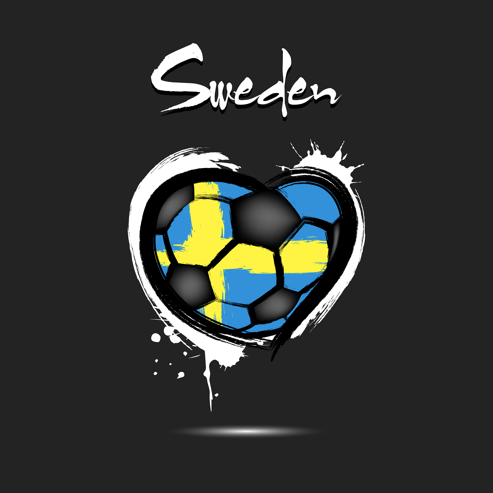 4529 - denmark heart soccer
