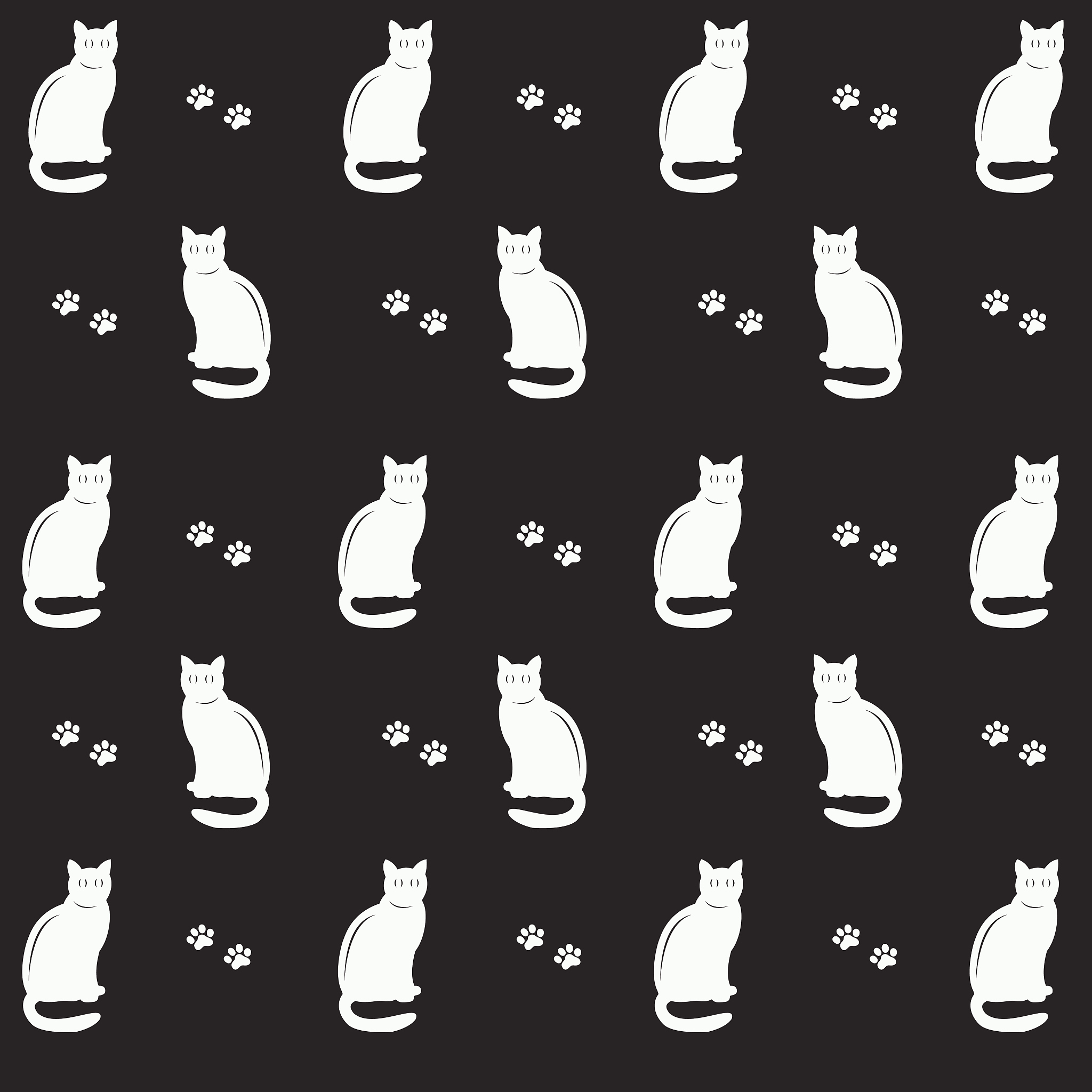 black cats and footsteps