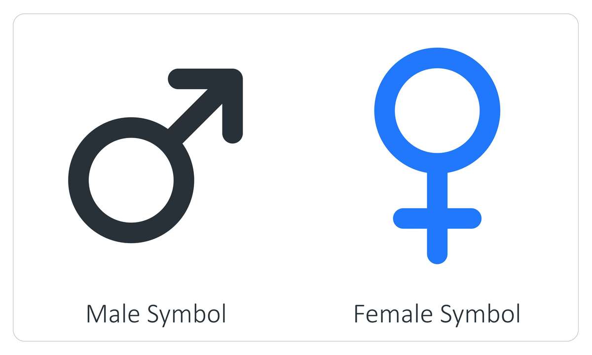 人类有哪4种性别