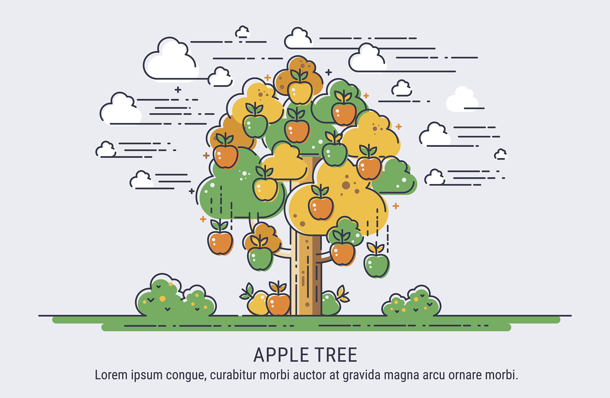 apple tree