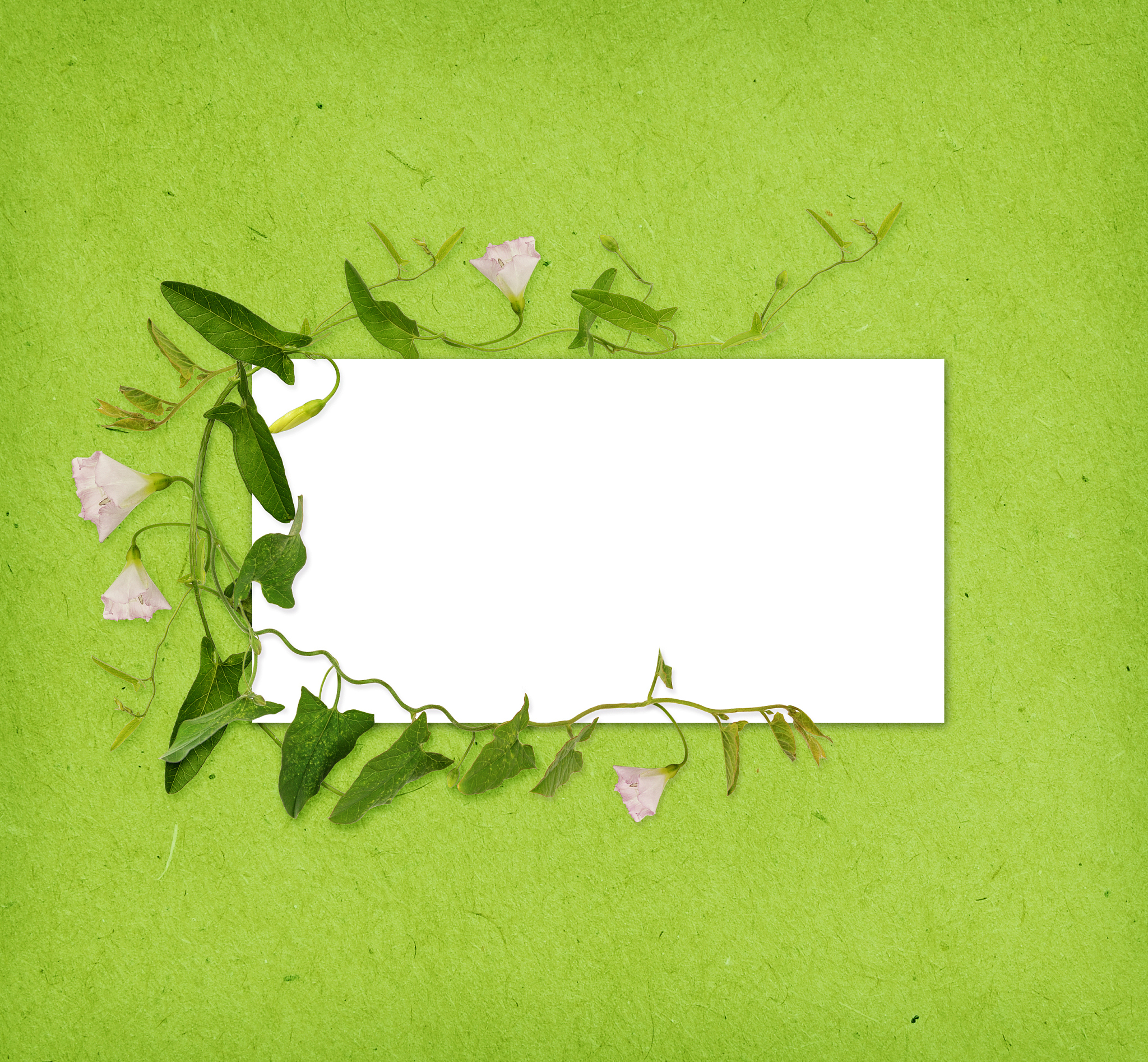 春季主题PPT怎么做？灵感&素材全攻略！