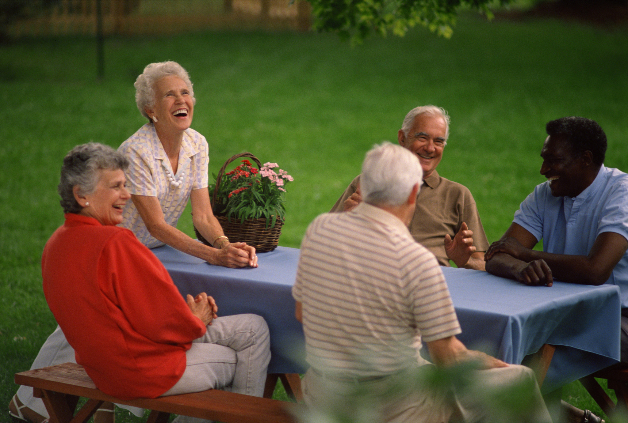 退休生活如何拍摄比较吸引人请给我具体的分镜头文案