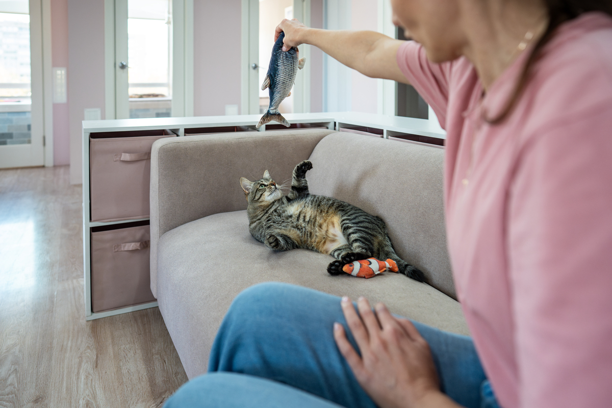 宠物撒娇的可爱瞬间：猫咪狗狗如何卖萌？