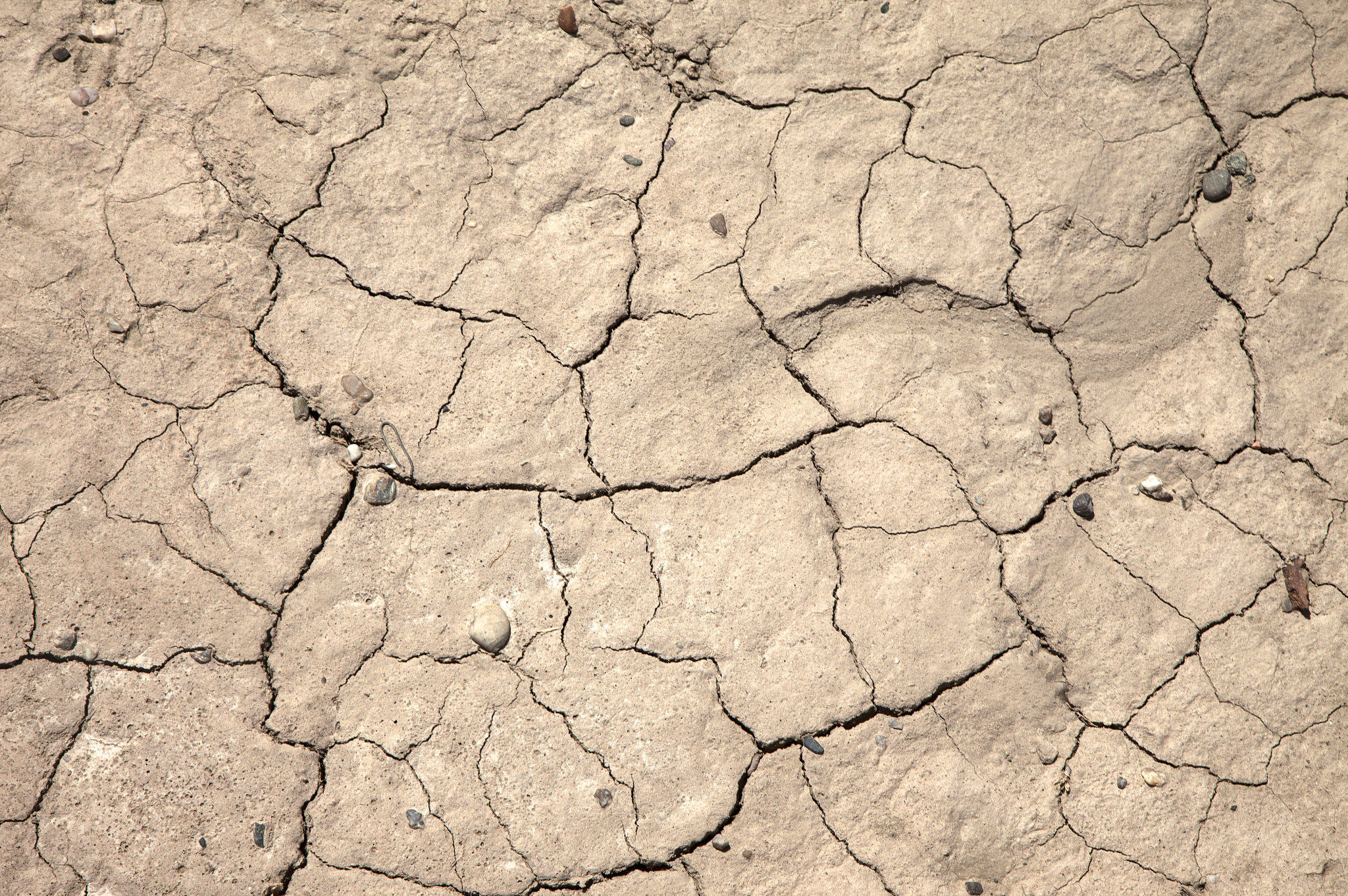 甘肃2022年女生学护理怎么样