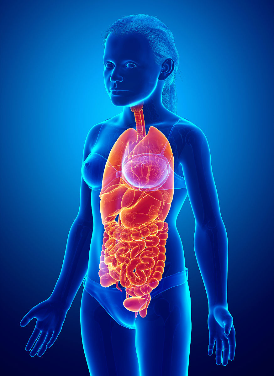 濮阳卫校2022年招生简章怎么样