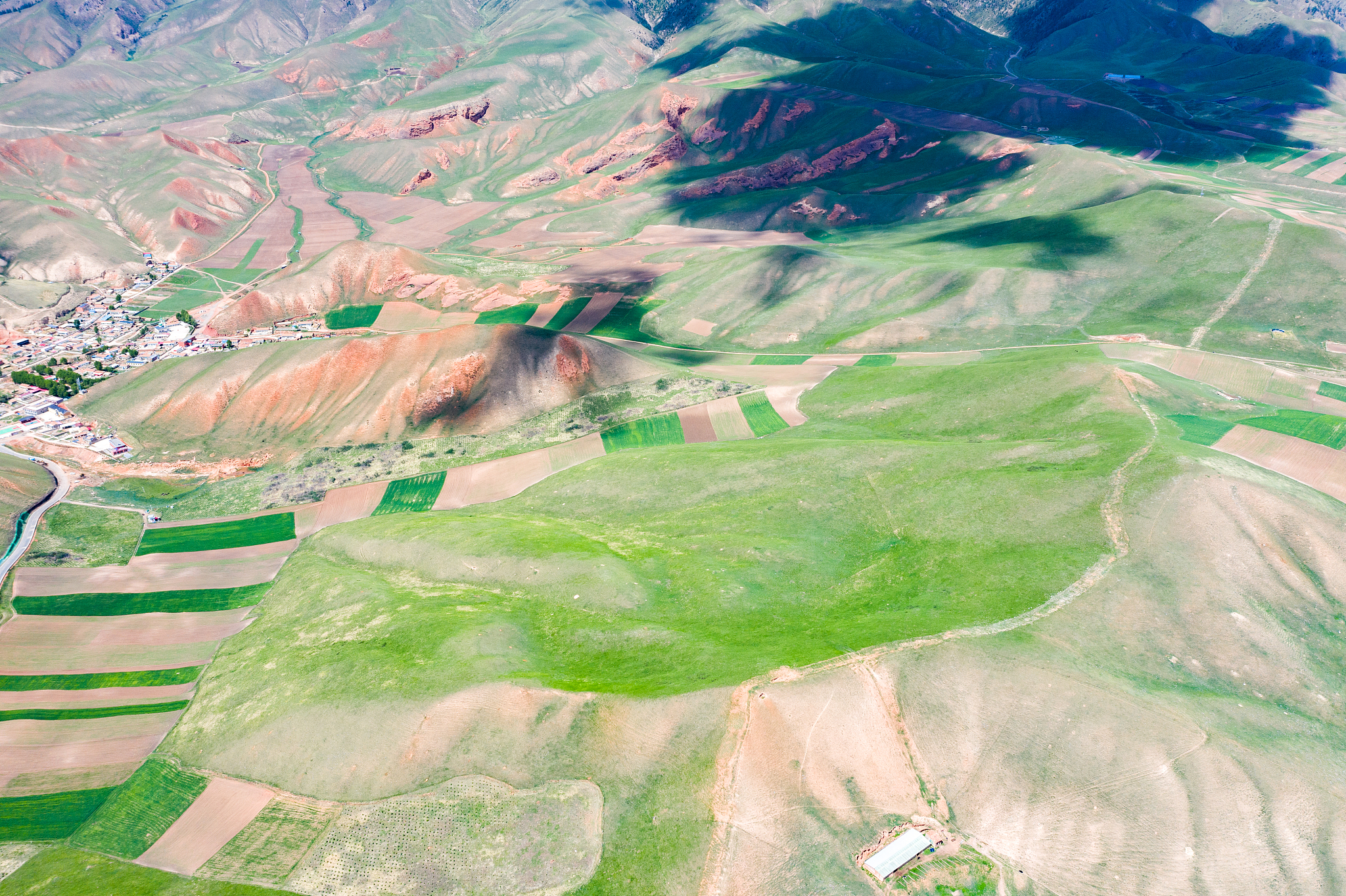 qinghai qilian zall mountain